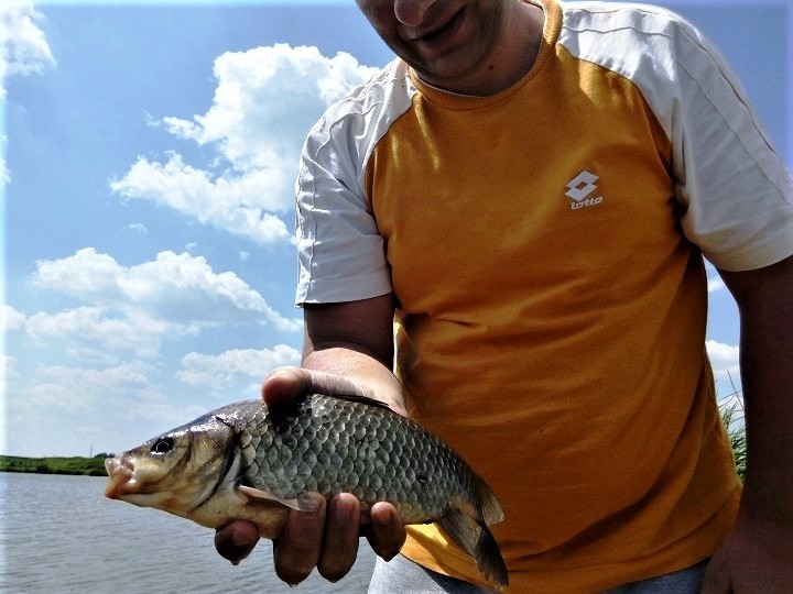 Caras de 0,6 kg retinut in anul 2017 pe Lacul Boteni 1